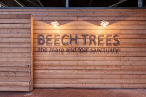 Timber cladding with metal name sign lit by lights