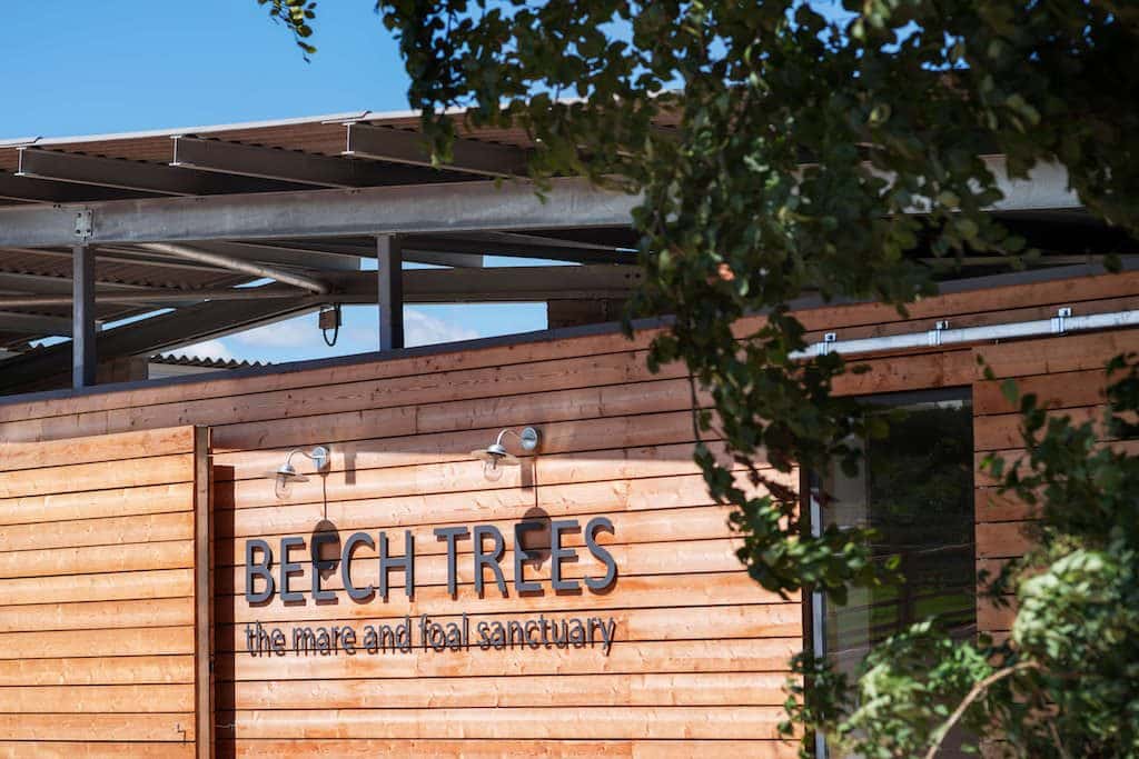 Larch cladding with metal lettering